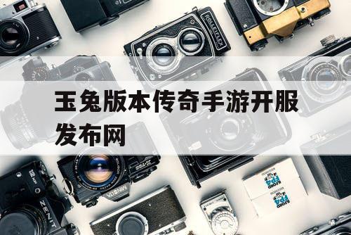 玉兔版本传奇手游开服发布网