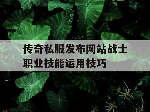 传奇私服发布网站战士职业技能运用技巧 传奇私服发布网站战士职业技能运用技巧