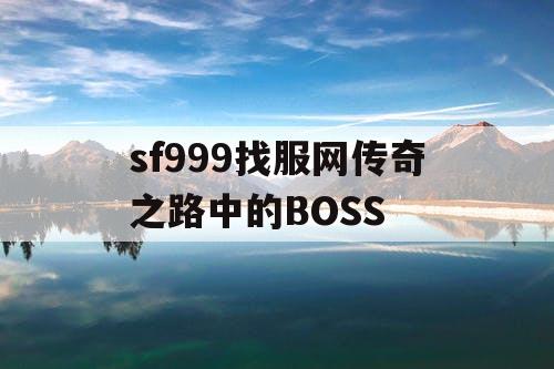 sf999找服网传奇之路中的BOSS sf999找服网传奇之路中的BOSS
