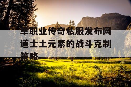 单职业传奇私服发布网道士土元素的战斗克制策略 单职业传奇私服发布网道士土元素的战斗克制策略