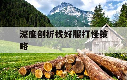 深度剖析找好服打怪策略 深度剖析找好服打怪策略