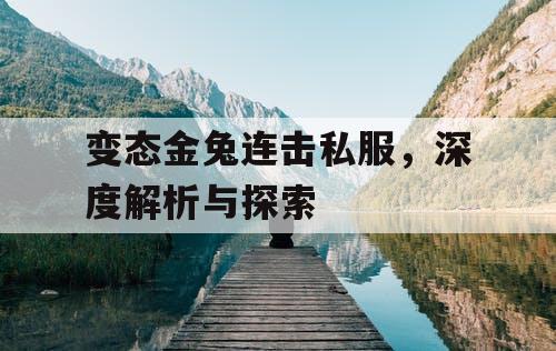 变态金兔连击私服,深度解析与探索 变态金兔连击私服,深度解析与探索
