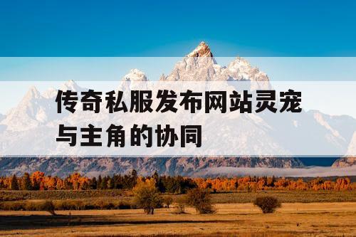 传奇私服发布网站灵宠与主角的协同