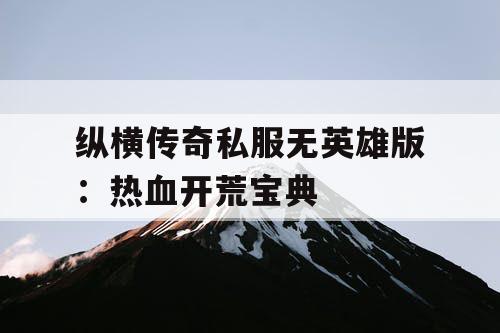 纵横传奇私服无英雄版：热血开荒宝典