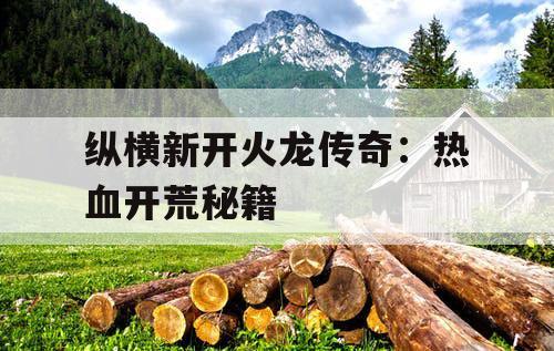 纵横新开火龙传奇：热血开荒秘籍