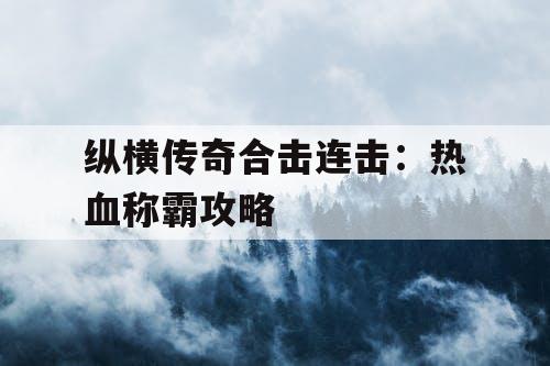 纵横传奇合击连击：热血称霸攻略