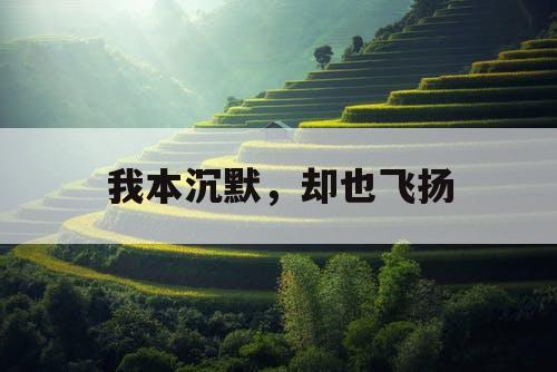 我本沉默,却也飞扬 我本沉默,却也飞扬