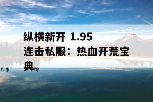 纵横新开 1.95 连击私服:热血开荒宝典 纵横新开 1.95 连击私服:热血开荒宝典