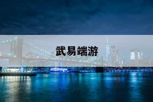 武易端游 武易端游