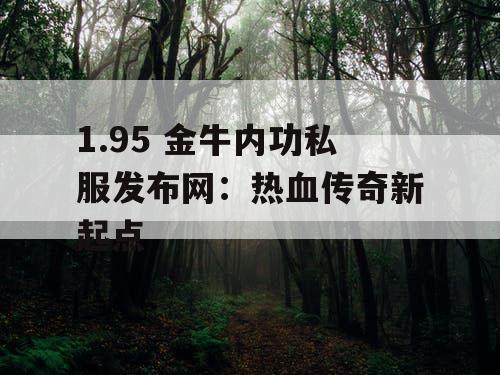 1.95 金牛内功私服发布网：热血传奇新起点
