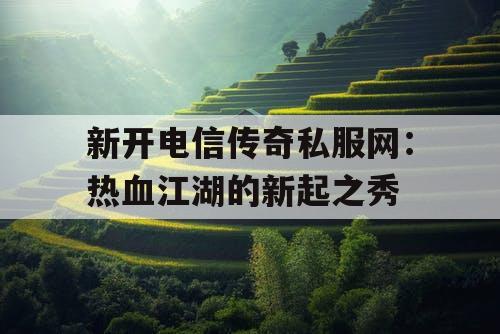 新开电信传奇私服网：热血江湖的新起之秀