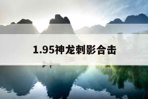 1.95神龙刺影合击 1.95神龙刺影合击
