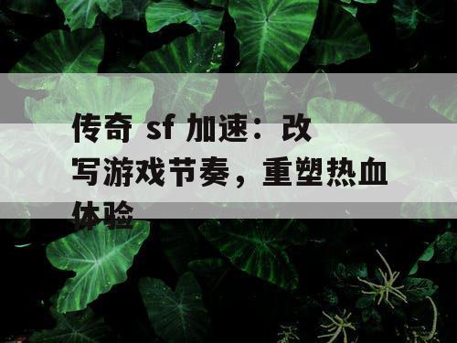 传奇 sf 加速:改写游戏节奏,重塑热血体验 传奇 sf 加速:改写游戏节奏,重塑热血体验