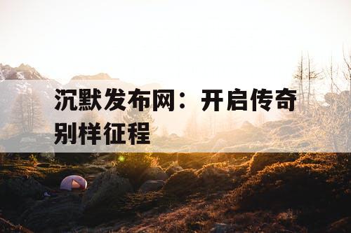 沉默发布网:开启传奇别样征程 沉默发布网:开启传奇别样征程