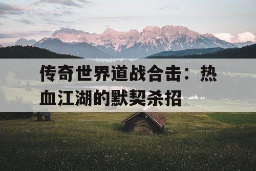 传奇世界道战合击：热血江湖的默契杀招