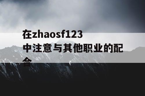 在zhaosf123中注意与其他职业的配合 在zhaosf123中注意与其他职业的配合