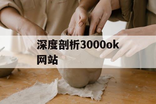 深度剖析3000ok网站 深度剖析3000ok网站