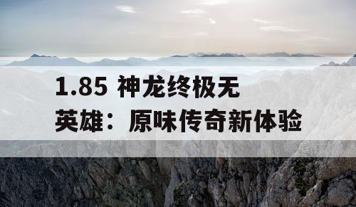 1.85 神龙终极无英雄:原味传奇新体验 1.85 神龙终极无英雄:原味传奇新体验
