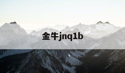 金牛jnq1b 金牛jnq1b