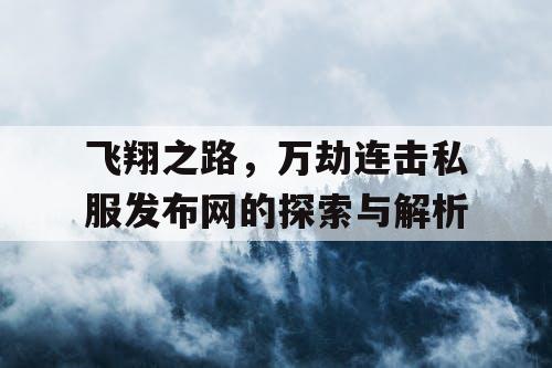 飞翔之路,万劫连击私服发布网的探索与解析 飞翔之路,万劫连击私服发布网的探索与解析