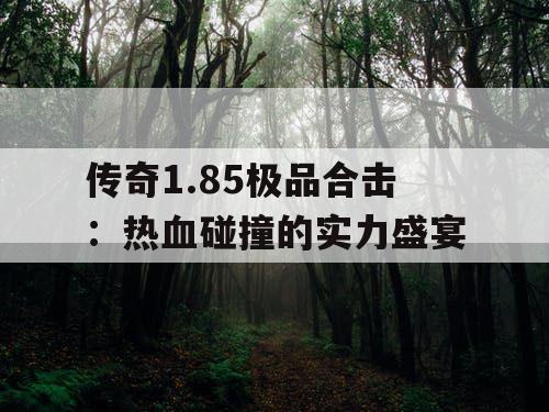 传奇1.85极品合击：热血碰撞的实力盛宴