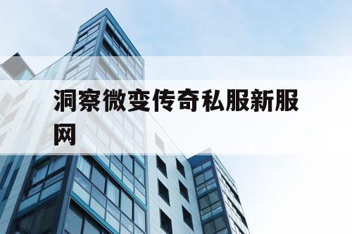 洞察微变传奇私服新服网