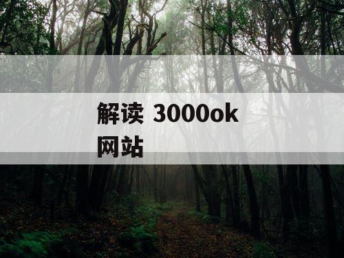 解读 3000ok 网站