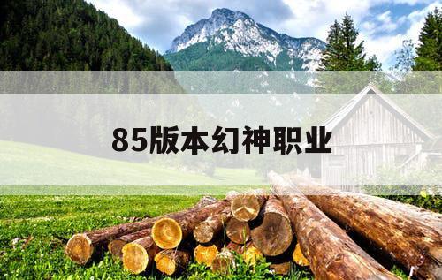 85版本幻神职业