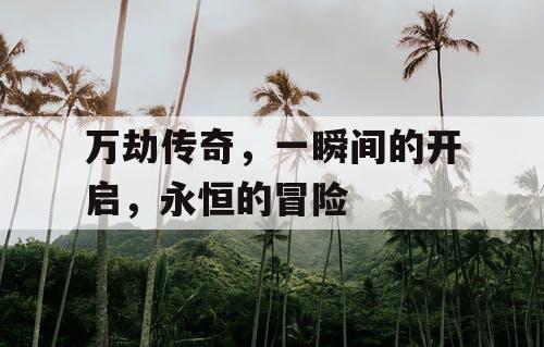 万劫传奇,一瞬间的开启,永恒的冒险 万劫传奇,一瞬间的开启,永恒的冒险