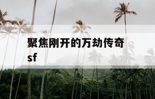 聚焦刚开的万劫传奇 sf 聚焦刚开的万劫传奇 sf