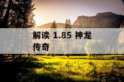解读 1.85 神龙传奇 解读 1.85 神龙传奇