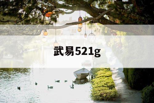 武易521g 武易521g