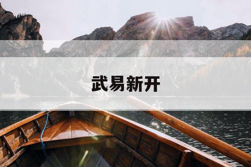 武易新开