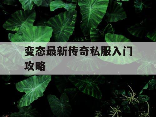 变态最新传奇私服入门攻略