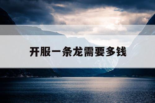 开服一条龙需要多钱 开服一条龙需要多钱