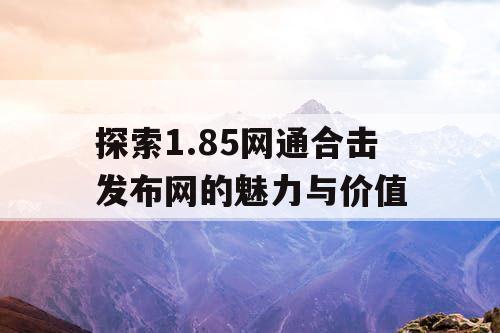 探索1.85网通合击发布网的魅力与价值 探索1.85网通合击发布网的魅力与价值