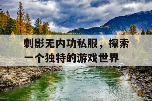 刺影无内功私服，探索一个独特的游戏世界