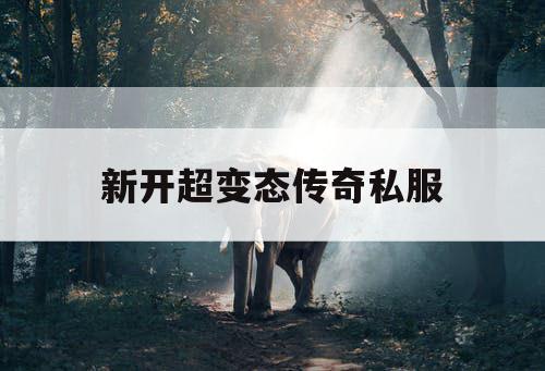 新开超变态传奇私服