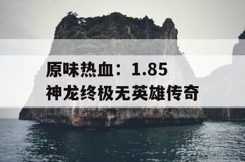 原味热血:1.85 神龙终极无英雄传奇 原味热血:1.85 神龙终极无英雄传奇