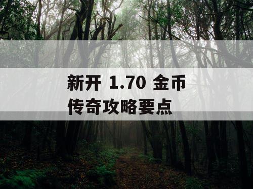 新开 1.70 金币传奇攻略要点