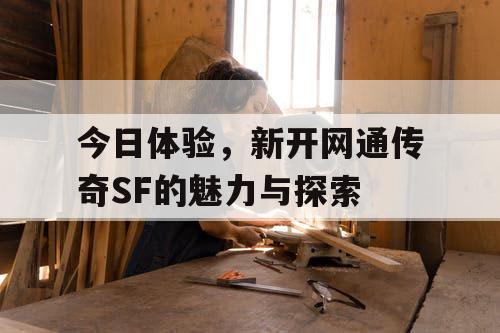 今日体验，新开网通传奇SF的魅力与探索