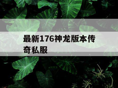 最新176神龙版本传奇私服