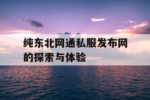 纯东北网通私服发布网的探索与体验 纯东北网通私服发布网的探索与体验