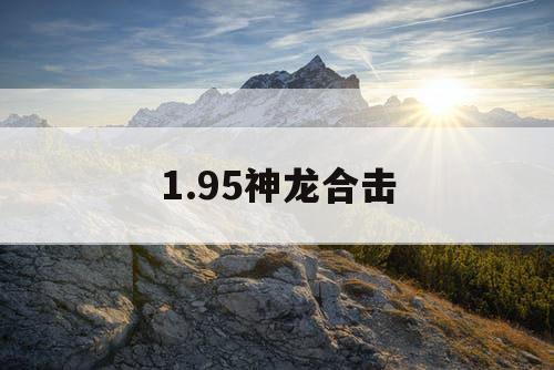 1.95神龙合击 1.95神龙合击