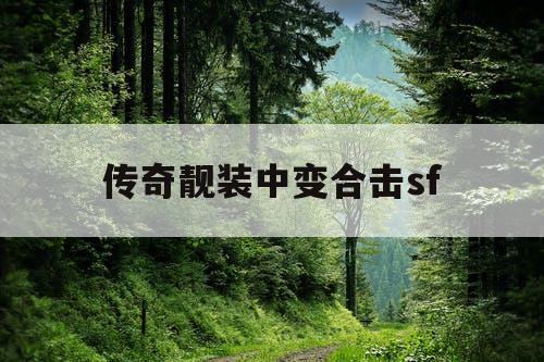 传奇靓装中变合击sf