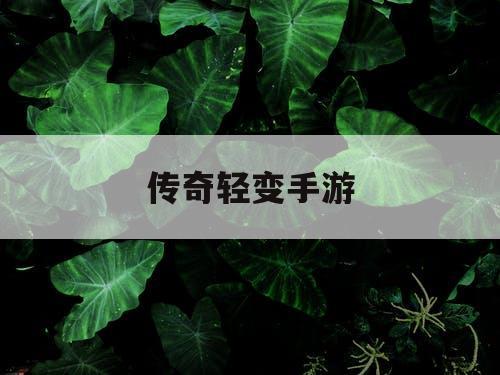 传奇轻变手游 传奇轻变手游