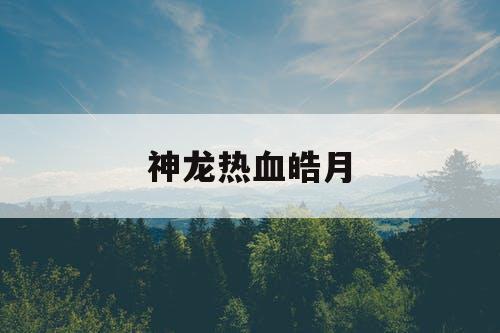 神龙热血皓月