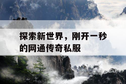 探索新世界，刚开一秒的网通传奇私服