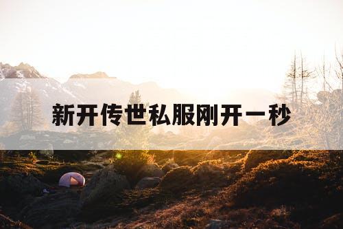 新开传世私服刚开一秒