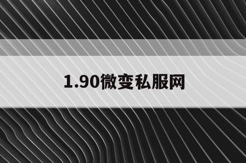 1.90微变私服网
